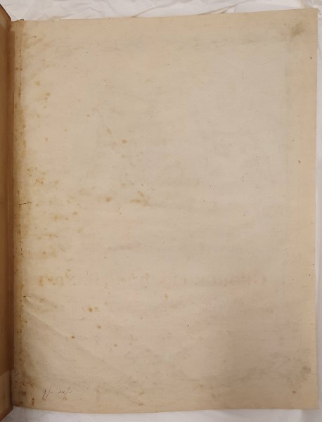 FDA-E.3271-2024-D image FDA-E.3271-2024-D