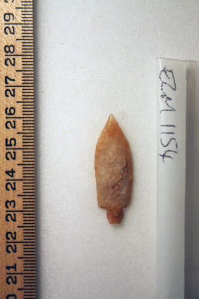 ECM.1154-2010-A image ECM.1154-2010-A