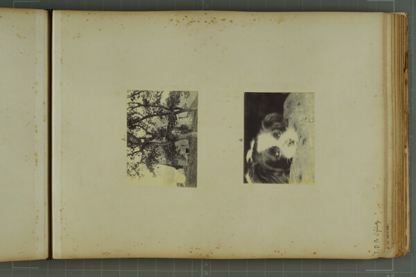 PA-A.81_25-2024 image PA-A.81_25-2024