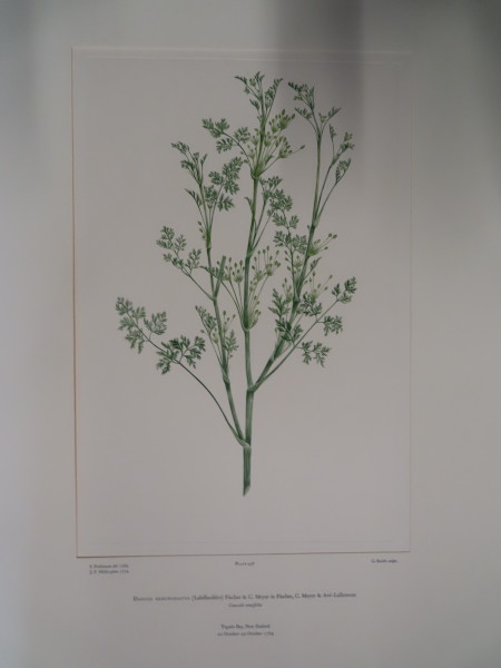 image FDA-E.2916_22_15-2016-A