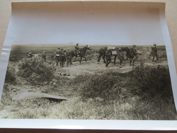 ECL-O.146_8-2014 image ECL-O.146_8-2014