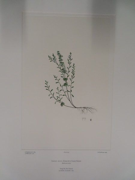 image FDA-E.2916_24_16-2016-A