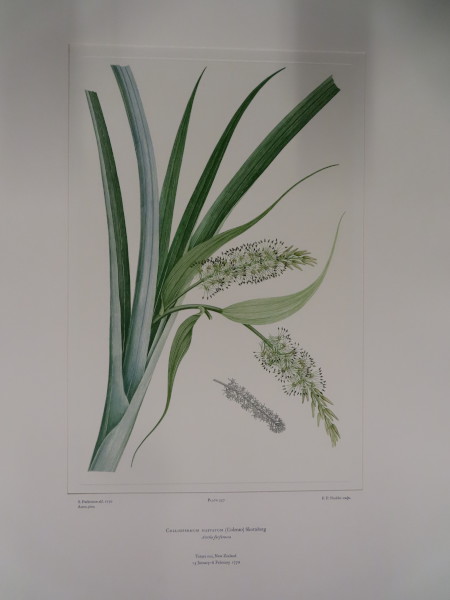 image FDA-E.2916_26_22-2016