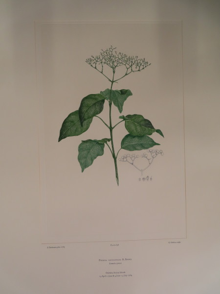 image FDA-E.2916_30_13-2016