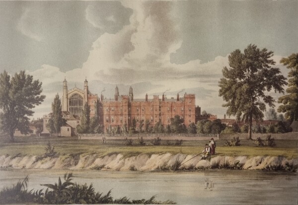 FDA-E.3329-2026-A image FDA-E.3329-2026-A