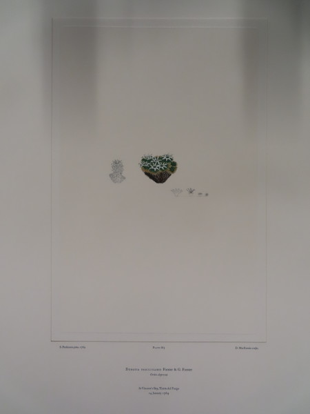 image FDA-E.2916_32_15-2016