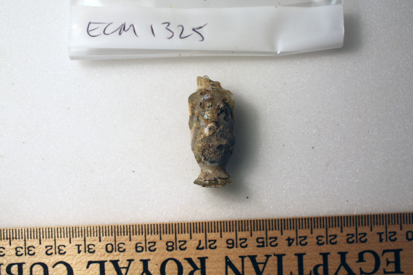 ECM.1325-2010-A image ECM.1325-2010-A