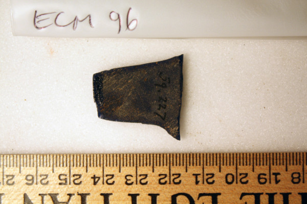 ECM.96-2010-B image ECM.96-2010-B