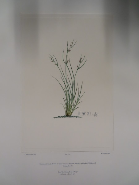 image FDA-E.2916_34_23-2016