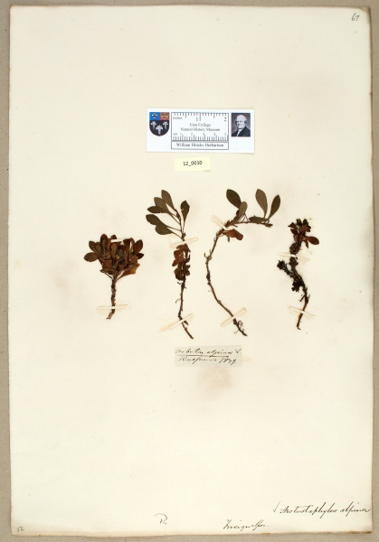 NHM_HH_12.10-2010 image NHM_HH_12.10-2010