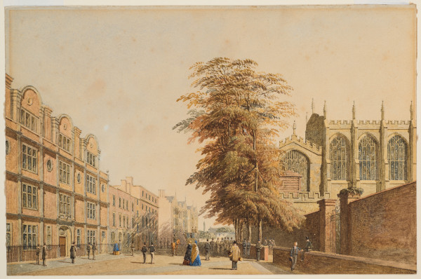 FDA-D.419-2010-cr image FDA-D.419-2010-cr