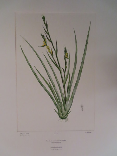 image FDA-E.2916_15_16-2016