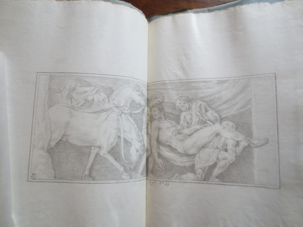 ECL-Bm.12_49-2013 image ECL-Bm.12_49-2013