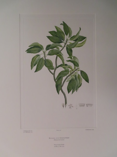 FDA-E.2916_9_25-2016-A image FDA-E.2916_9_25-2016-A