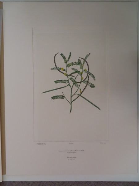 image FDA-E.2916_3_25-2016