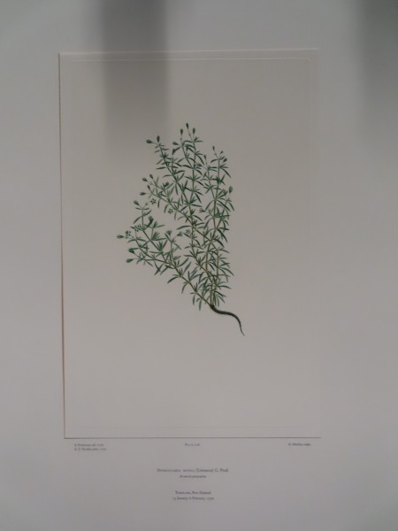 image FDA-E.2916_20_18-2016-A