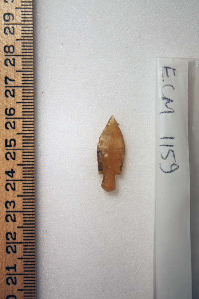 ECM.1159-2010-A image ECM.1159-2010-A