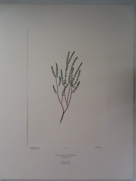 image FDA-E.2916_5_22-2016