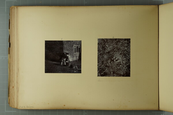 PA-A.79_25-2024 image PA-A.79_25-2024