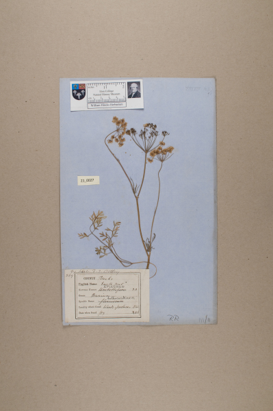 NHM_HH_21.27-2010 image NHM_HH_21.27-2010