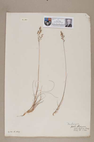 NHM_HH_35.21-2010 image NHM_HH_35.21-2010