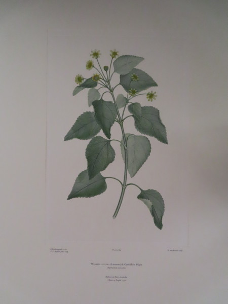 image FDA-E.2916_8_10-2016-A