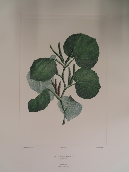 image FDA-E.2916_30_18-2016