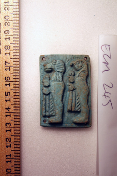 ECM.245-2010-A image ECM.245-2010-A