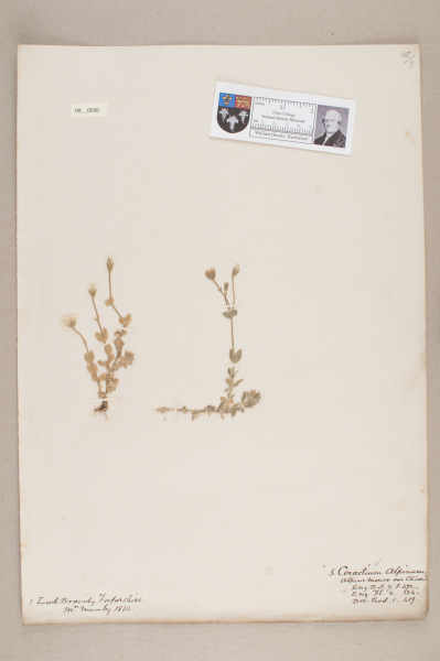 NHM_HH_9.30-2010 image NHM_HH_9.30-2010