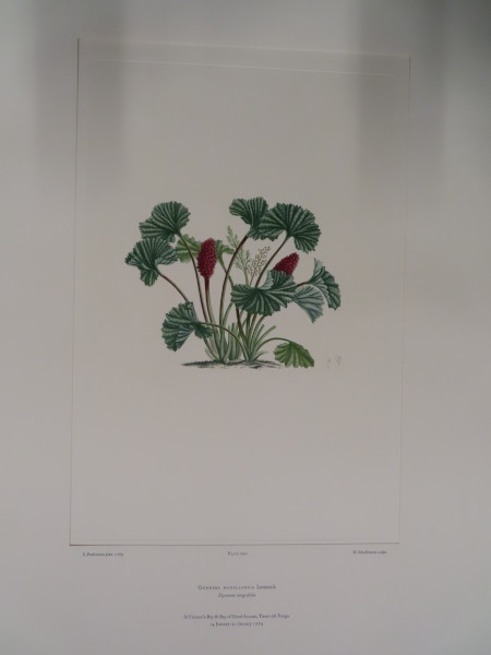 image FDA-E.2916_32_20-2016-A