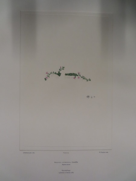 FDA-E.2916_34_6-2016 image FDA-E.2916_34_6-2016