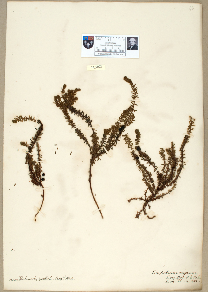 NHM_HH_12.2-2010 image NHM_HH_12.2-2010