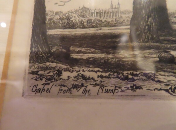 FDA-E.3234-2023-B image FDA-E.3234-2023-B