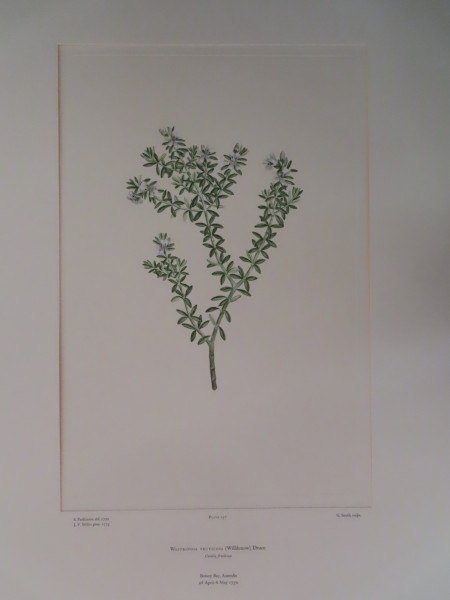 image FDA-E.2916_12_13-2016