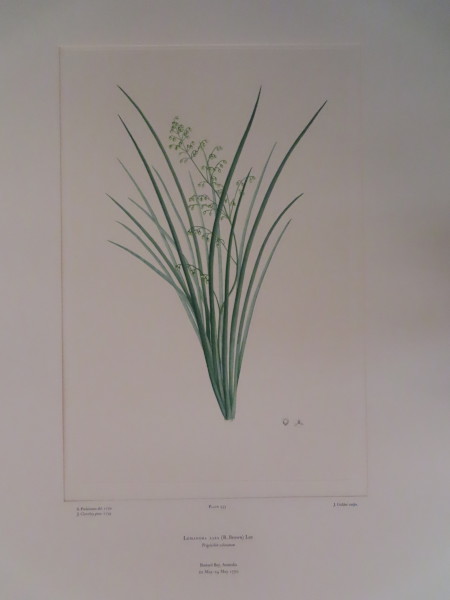 image FDA-E.2916_15_21-2016-A