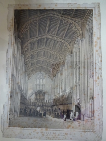 FDA-E.318-2010 image FDA-E.318-2010