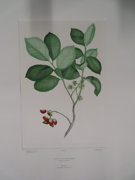 image FDA-E.2916_17_11-2016