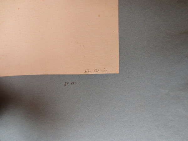 ECL-Bm.13_21-2013-B image ECL-Bm.13_21-2013-B