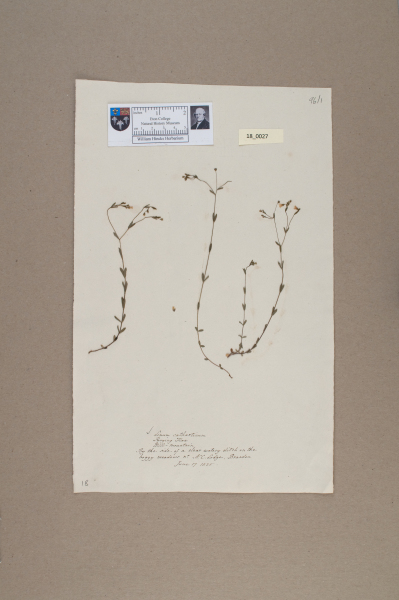 NHM_HH_18.27-2010 image NHM_HH_18.27-2010