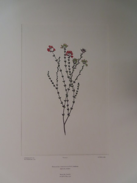 image FDA-E.2916_3_8-2016-A