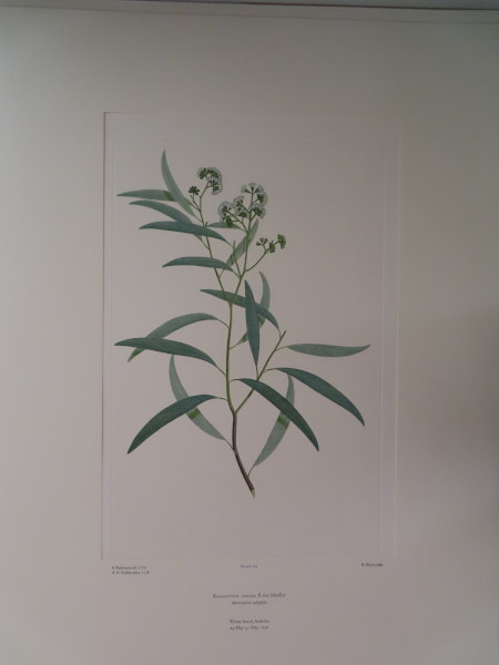 image FDA-E.2916_6_12-2016-A