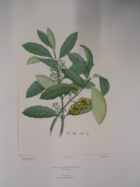 image FDA-E.2916_22_24-2016