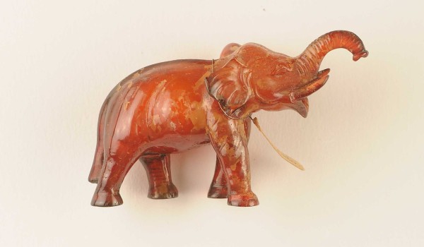 NHM-EE.48-2015 image NHM-EE.48-2015