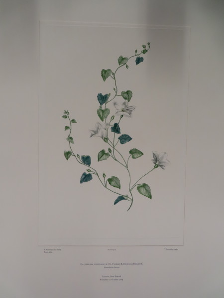 image FDA-E.2916_24_25-2016