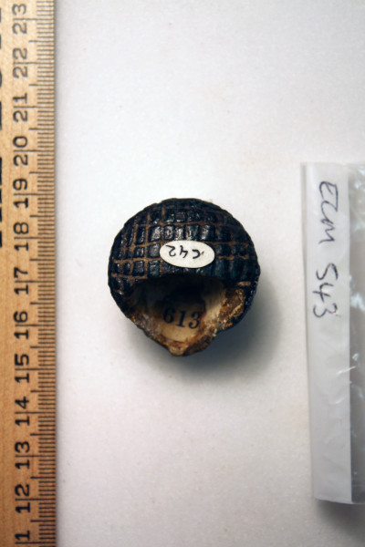 ECM.543-2010-B image ECM.543-2010-B