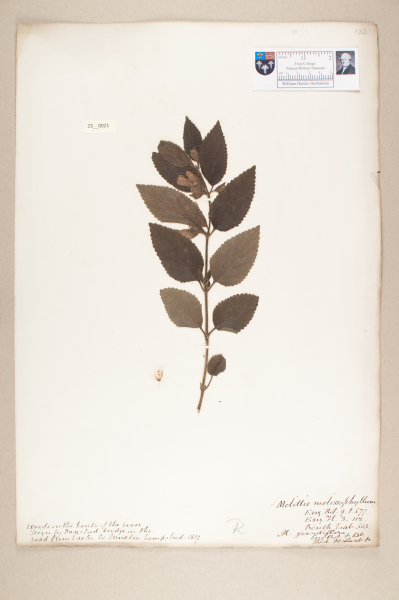 NHM_HH_23.21-2010 image NHM_HH_23.21-2010