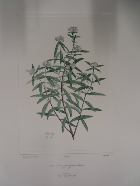 image FDA-E.2916_26_8-2016