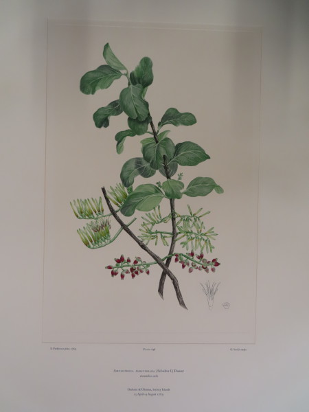 image FDA-E.2916_30_23-2016-A