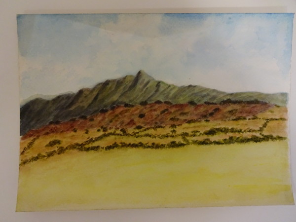 FDA-D.1241-2015 image FDA-D.1241-2015