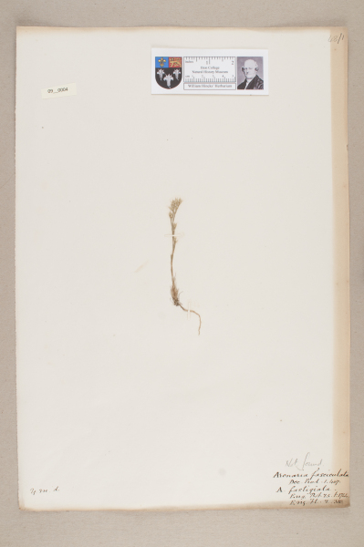 NHM_HH_9.4-2010 image NHM_HH_9.4-2010